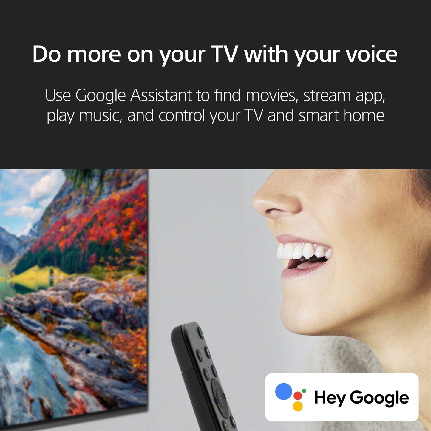 Sony 75 Inch 4K Ultra HD TV X77L Series: LED Smart Google TV KD75X77L- Latest Model, Black