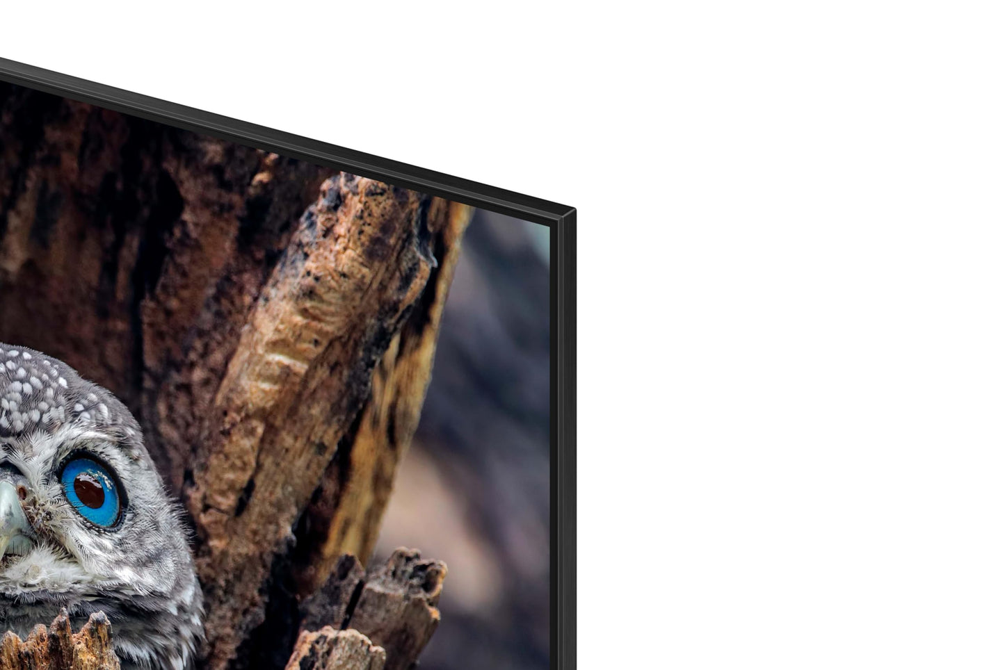 Samsung QN75Q80DDFXZA 75" QLED 4K Smart TV with Direct Full Array (2025)